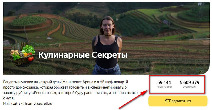Охваты в Яндекс Дзен